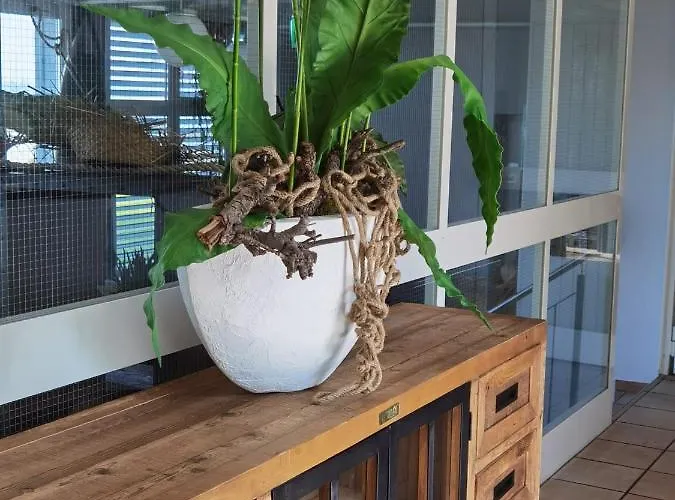 Herberge See Rorschach